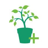 Profesionalni rastlinjaki - rastlinjaki za vzgojo sadik, rastlinjaki za proizvodnjo